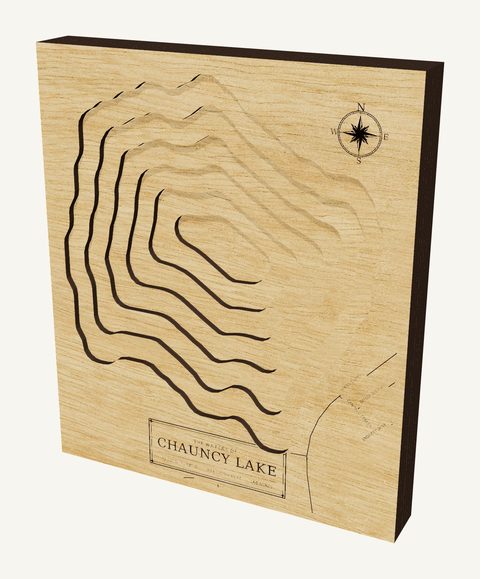 Chauncy Lake wood map