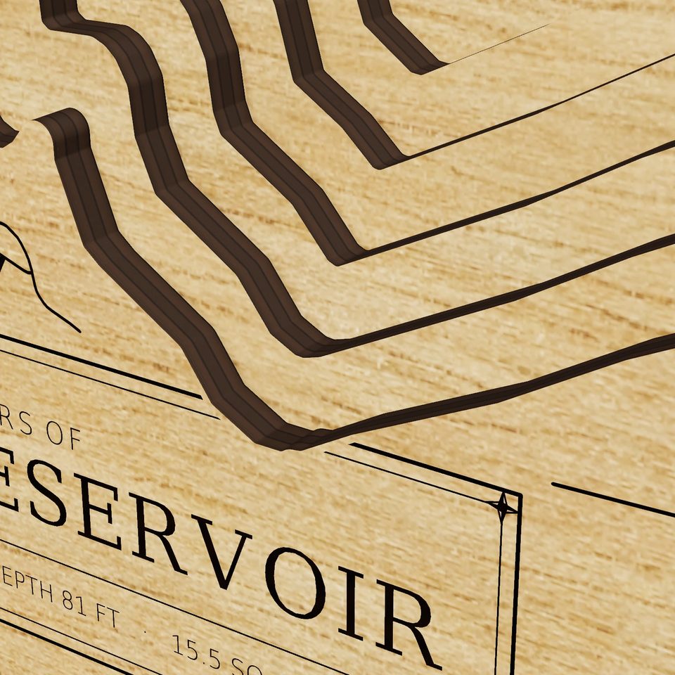 Cheney Reservoir 3D wood map, detail view