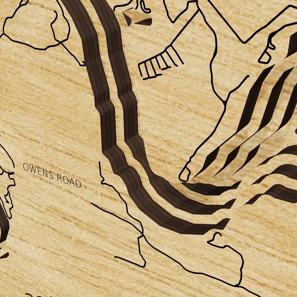 Claytor Lake 3D wood map, detail view