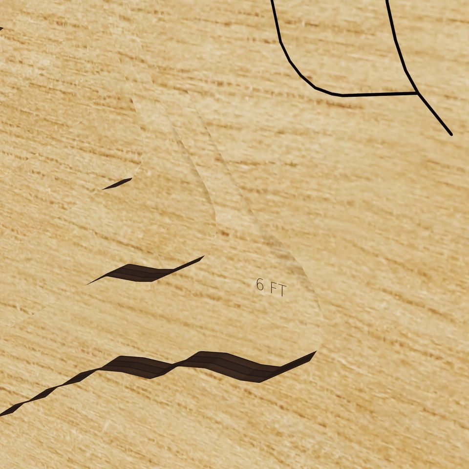 Clear Lake 3D wood map, detail view
