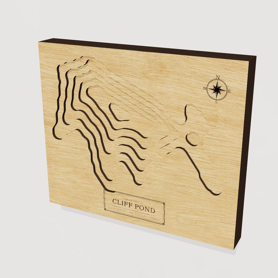 Cliff Pond 3D wood map, hero view