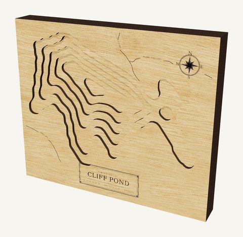 Cliff Pond wood map