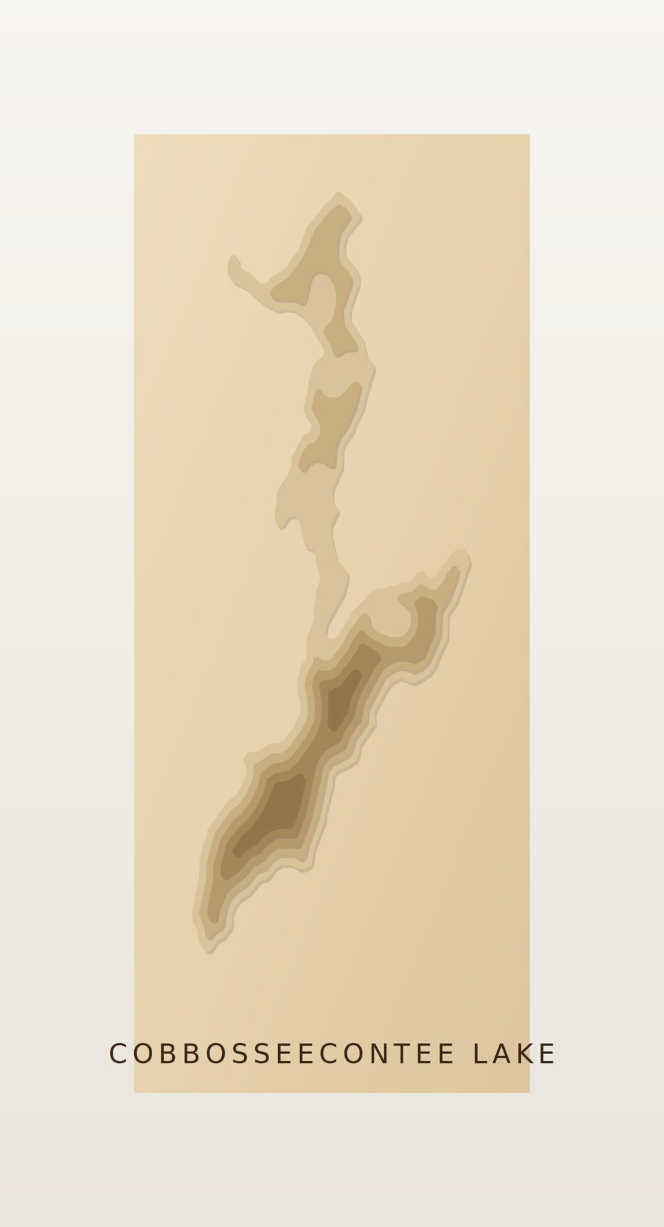 Cobbosseecontee Lake 3D wood map, preview view