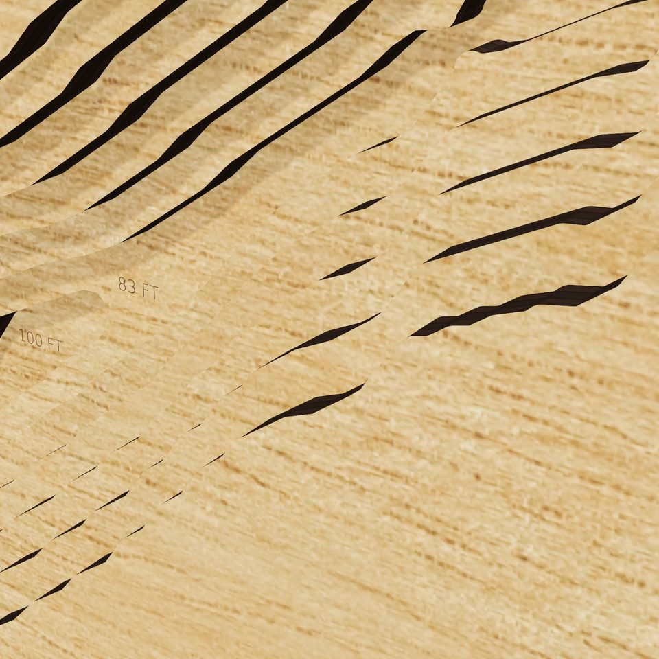 Coldwater Lake 3D wood map, detail view
