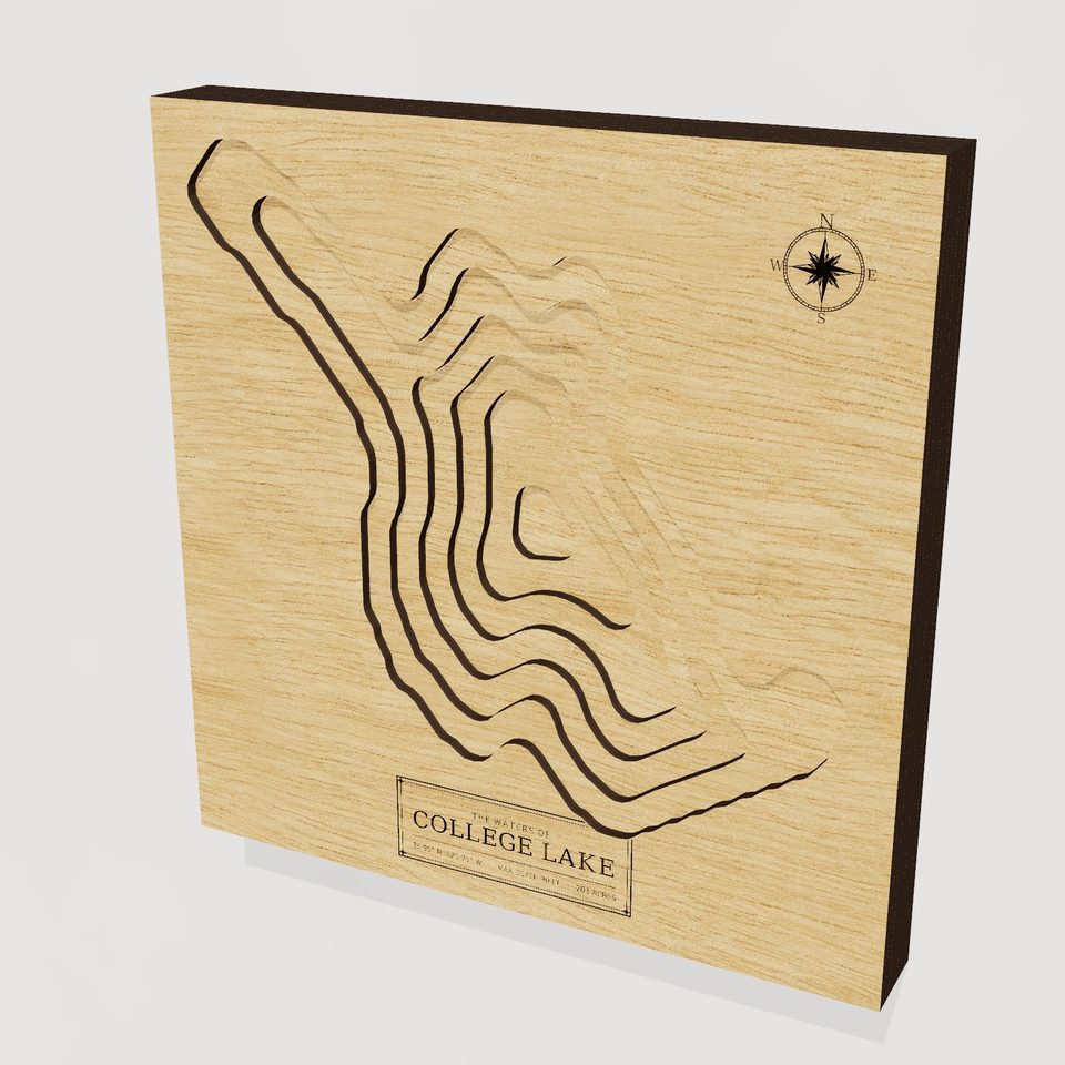 College Lake 3D wood map, hero view