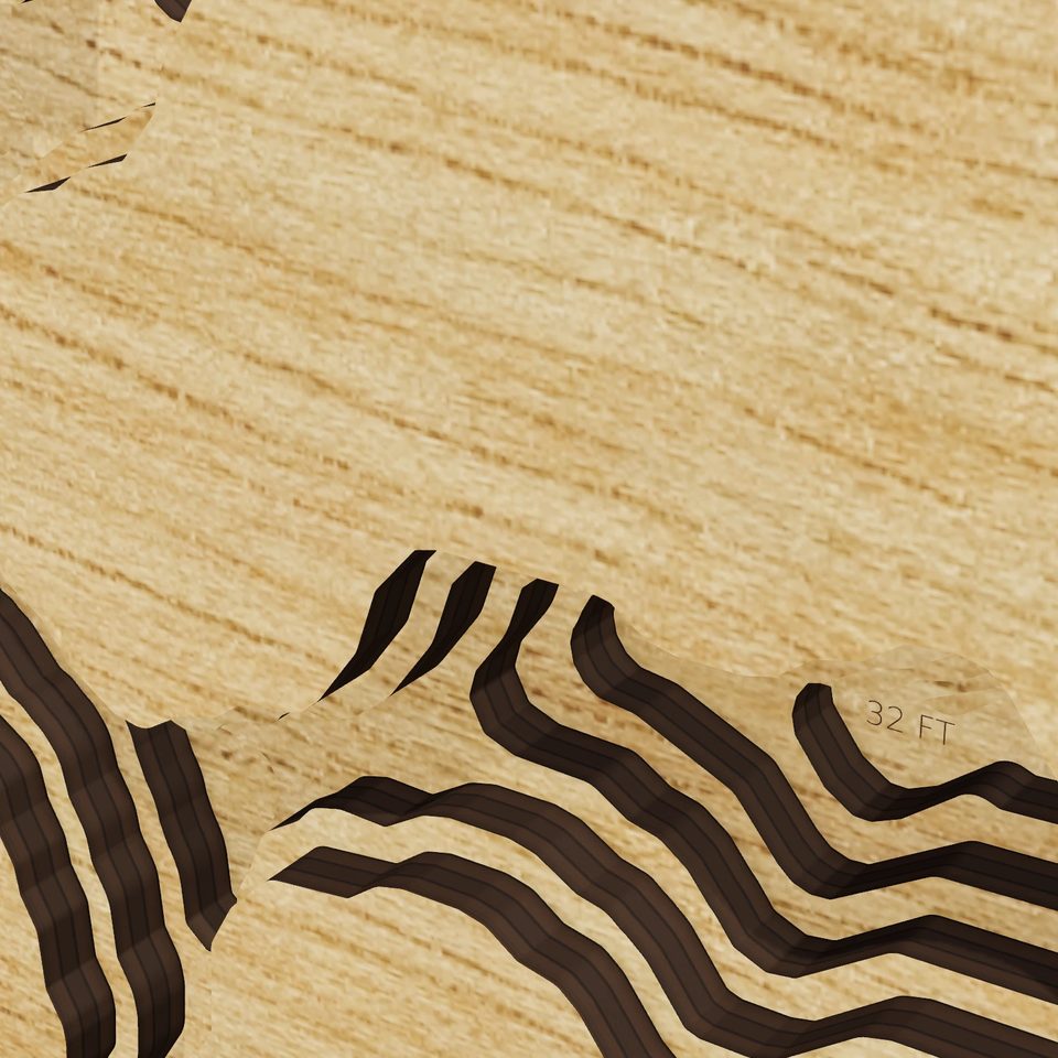 Colonie Reservoir 3D wood map, detail view