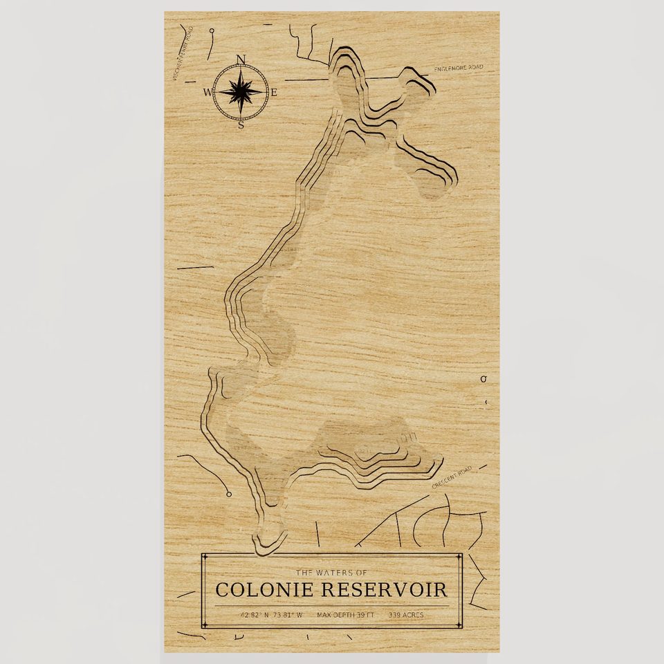 Colonie Reservoir 3D wood map, front view