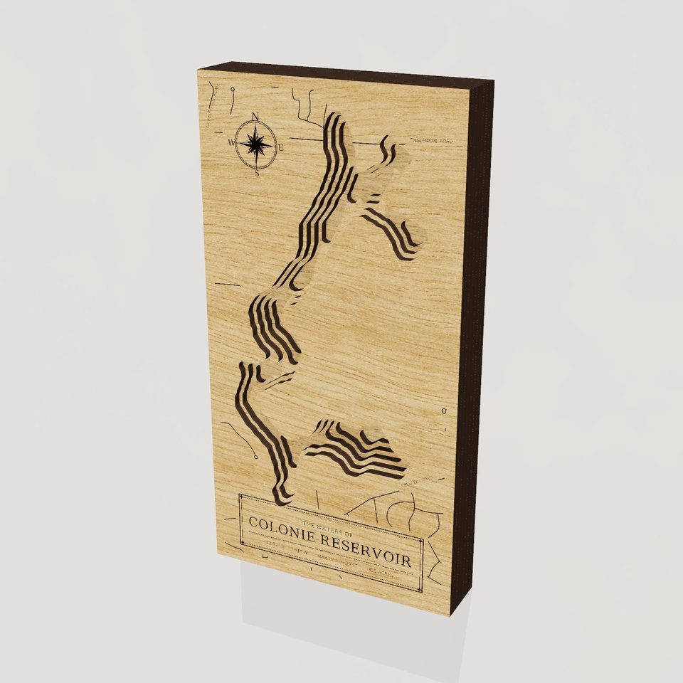 Colonie Reservoir 3D wood map, hero view