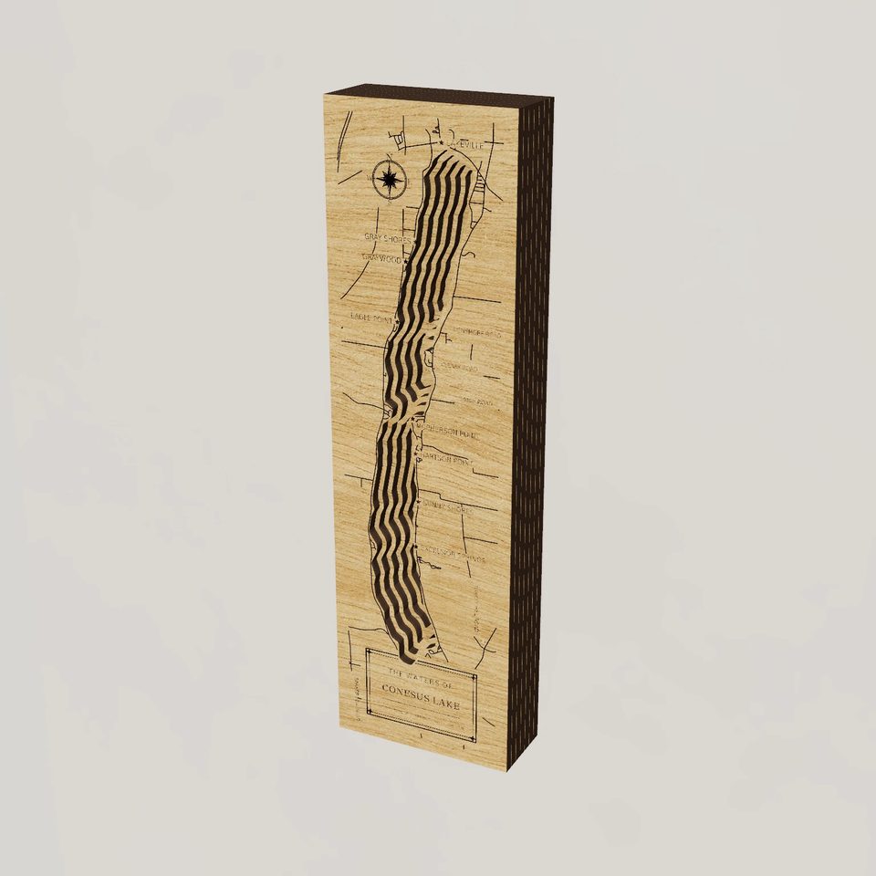 Conesus Lake 3D wood map, hero view