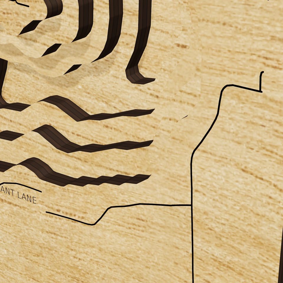 Coon Lake 3D wood map, detail view