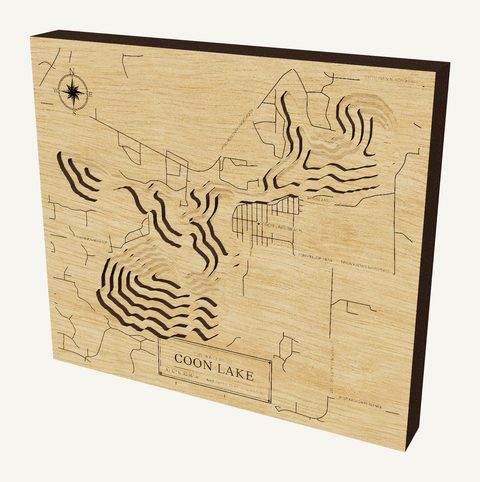 Coon Lake wood map