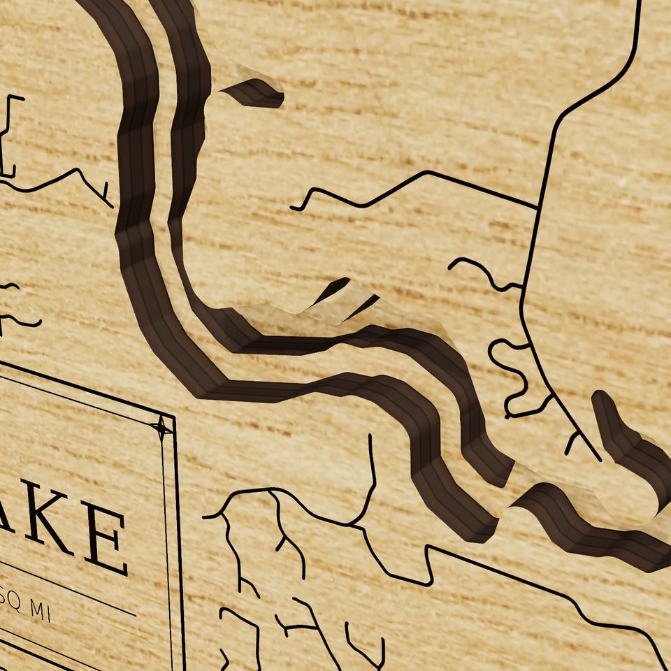 Coralville Lake 3D wood map, detail view
