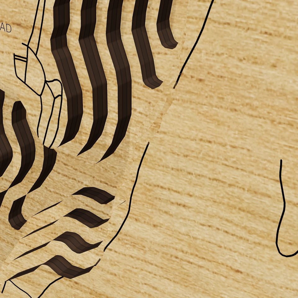 Cossayuna Lake 3D wood map, detail view