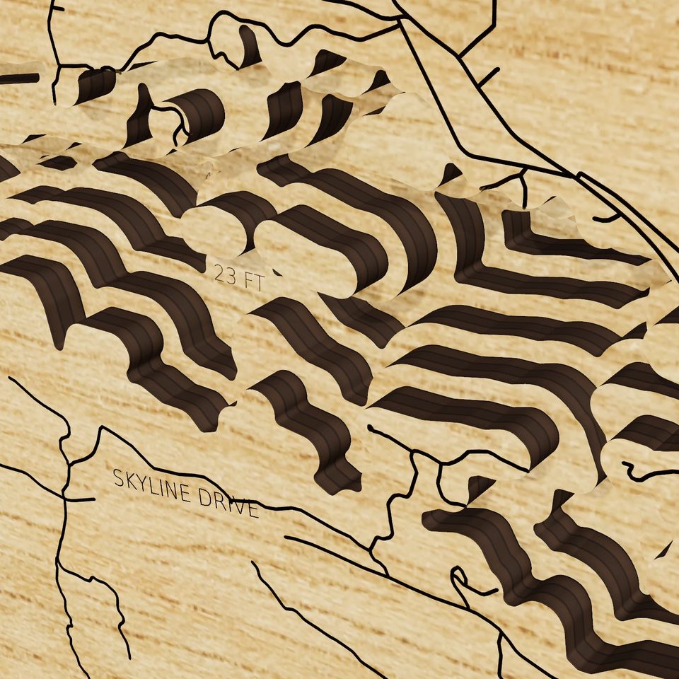 DeGray Lake 3D wood map, detail view