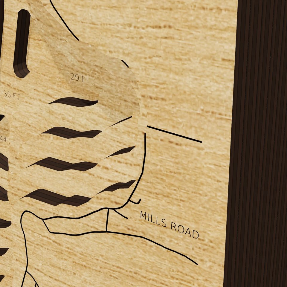 Devils Lake 3D wood map, detail view