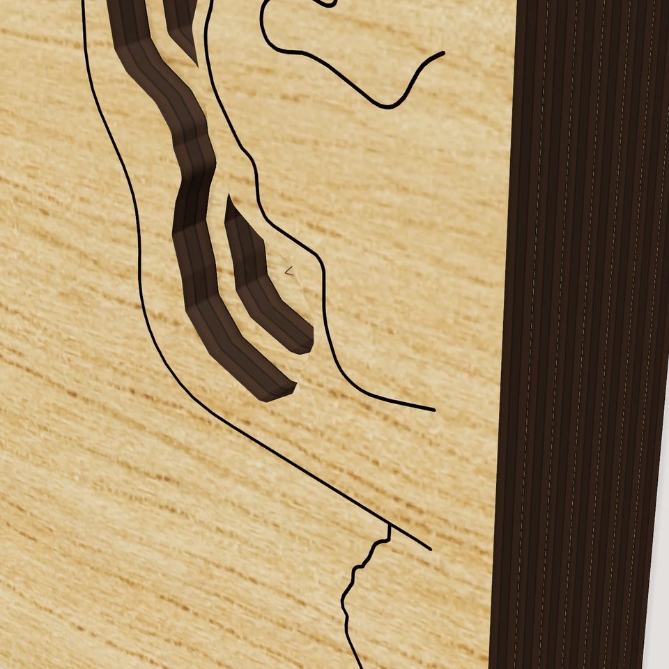 Dexter Reservoir 3D wood map, detail view
