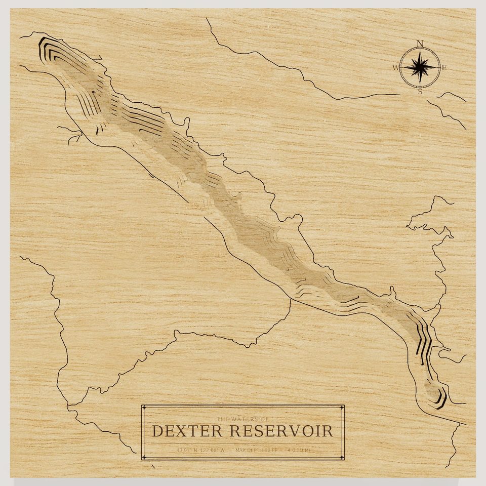 Dexter Reservoir 3D wood map, front view
