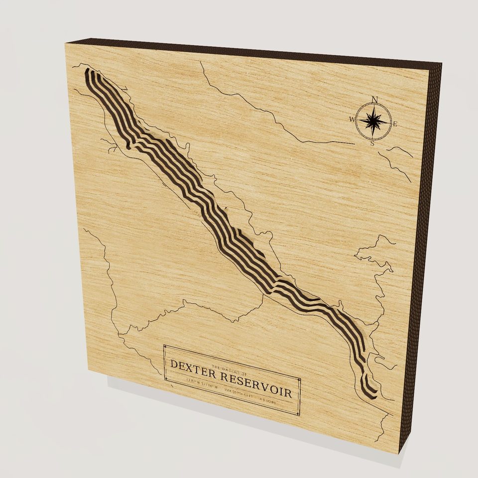 Dexter Reservoir 3D wood map, hero view