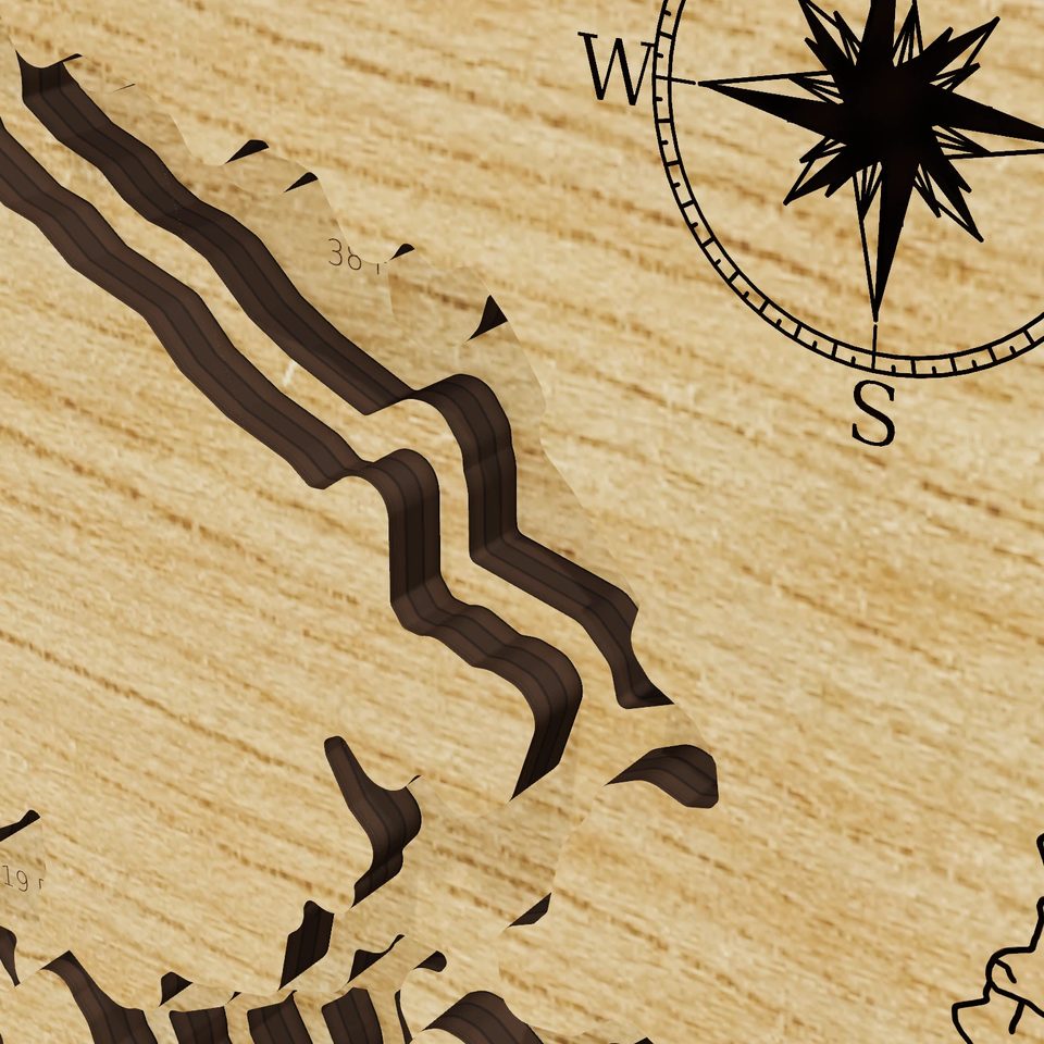 Don Pedro Reservoir 3D wood map, detail view