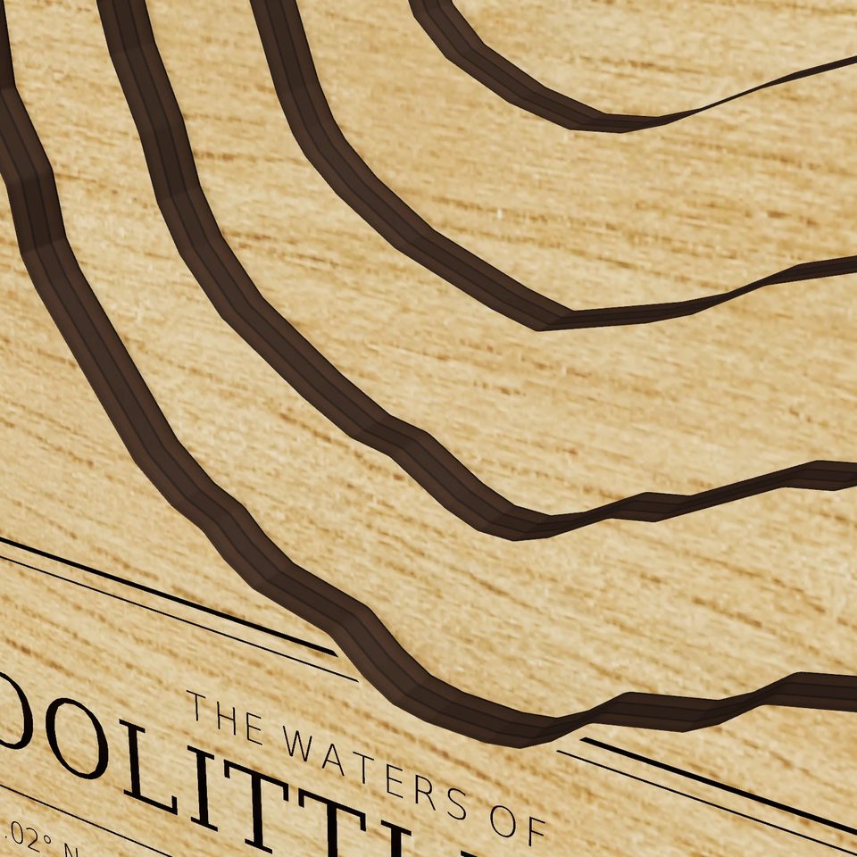 Doolittle Lake 3D wood map, detail view