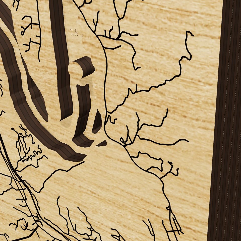 Douglas Lake 3D wood map, detail view