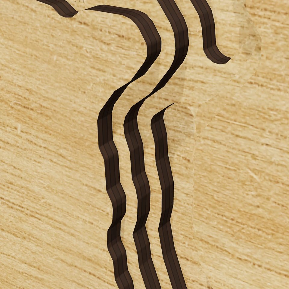 Dudley Pond 3D wood map, detail view