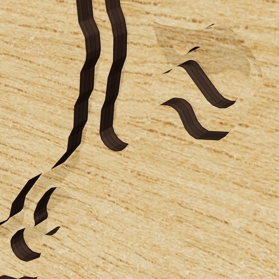 East Branch Reservoir 3D wood map, detail view