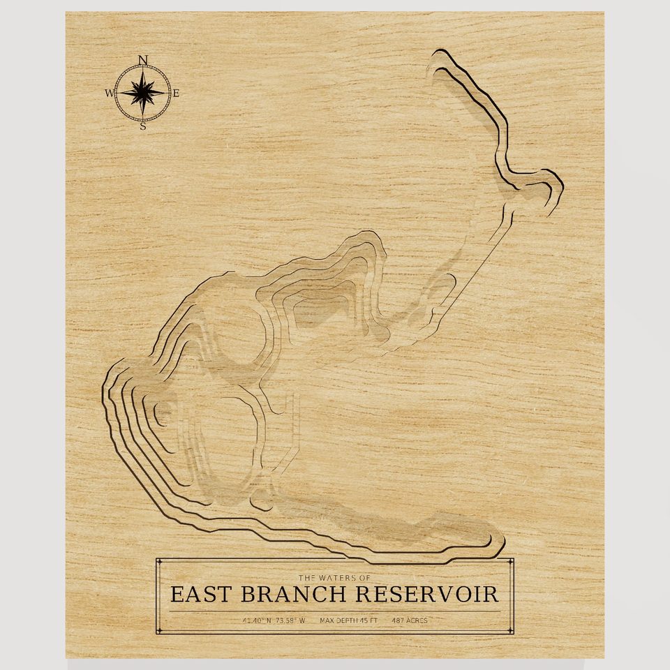 East Branch Reservoir 3D wood map, front view