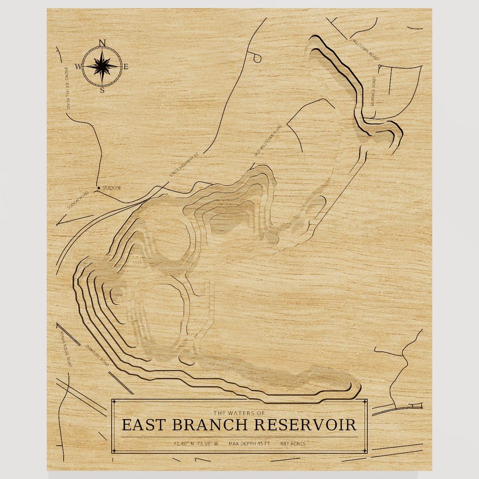 East Branch Reservoir 3D wood map, front view