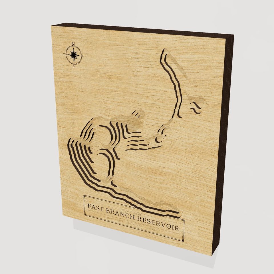 East Branch Reservoir 3D wood map, hero view