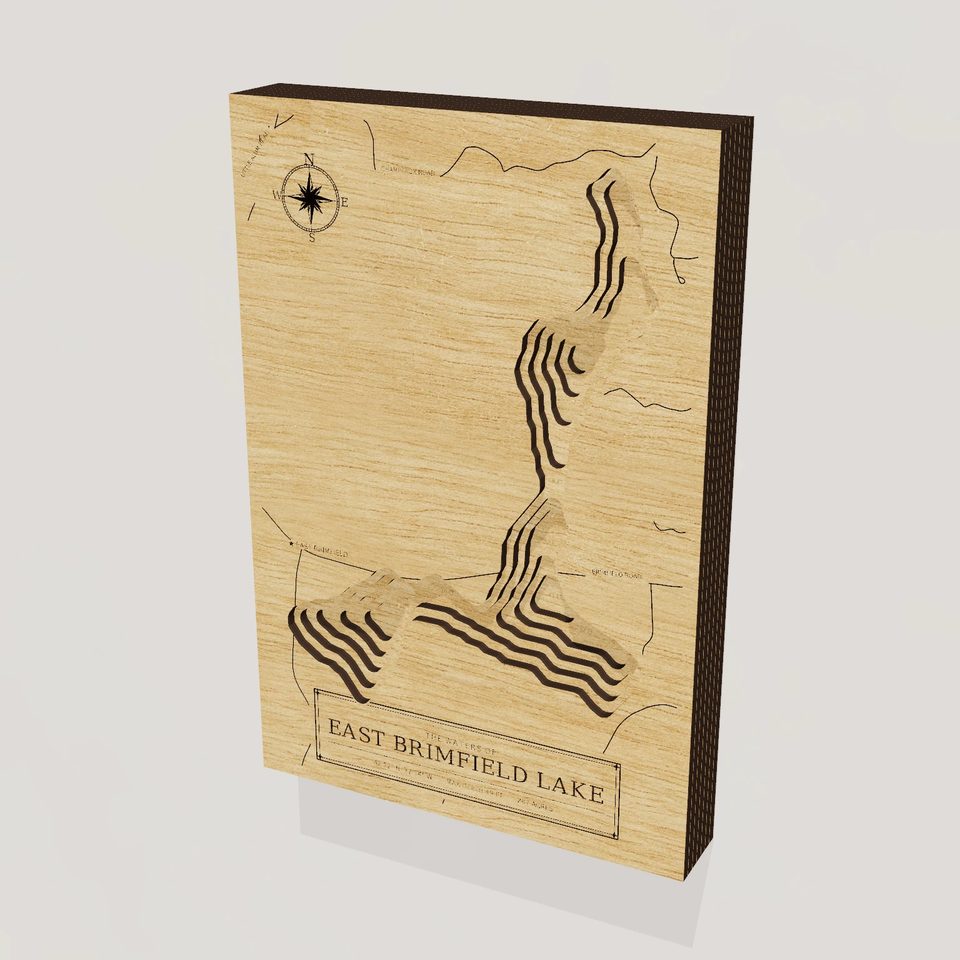 East Brimfield Lake 3D wood map, hero view