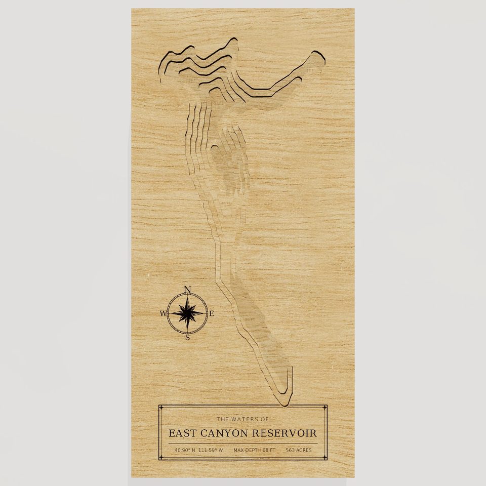 East Canyon Reservoir 3D wood map, front view