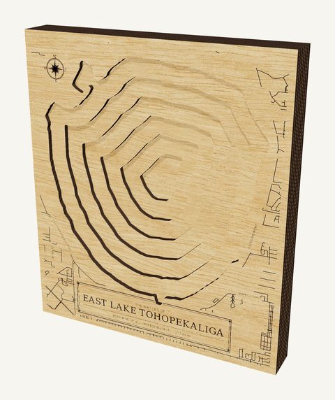 East Lake Tohopekaliga wood map