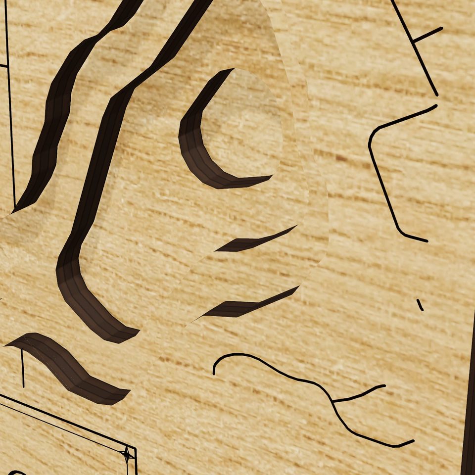 East Reservoir 3D wood map, detail view