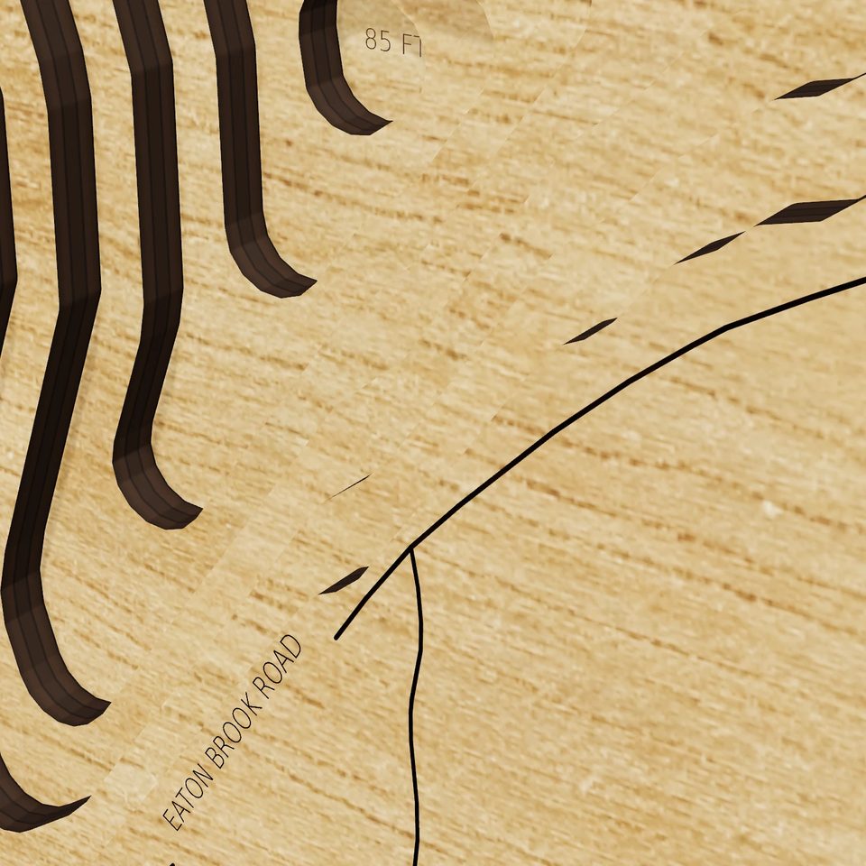 Eaton Reservoir 3D wood map, detail view