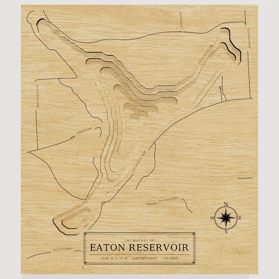 Eaton Reservoir 3D wood map, front view