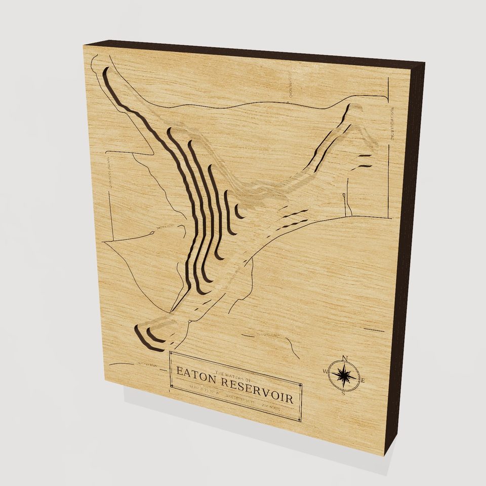 Eaton Reservoir 3D wood map, hero view