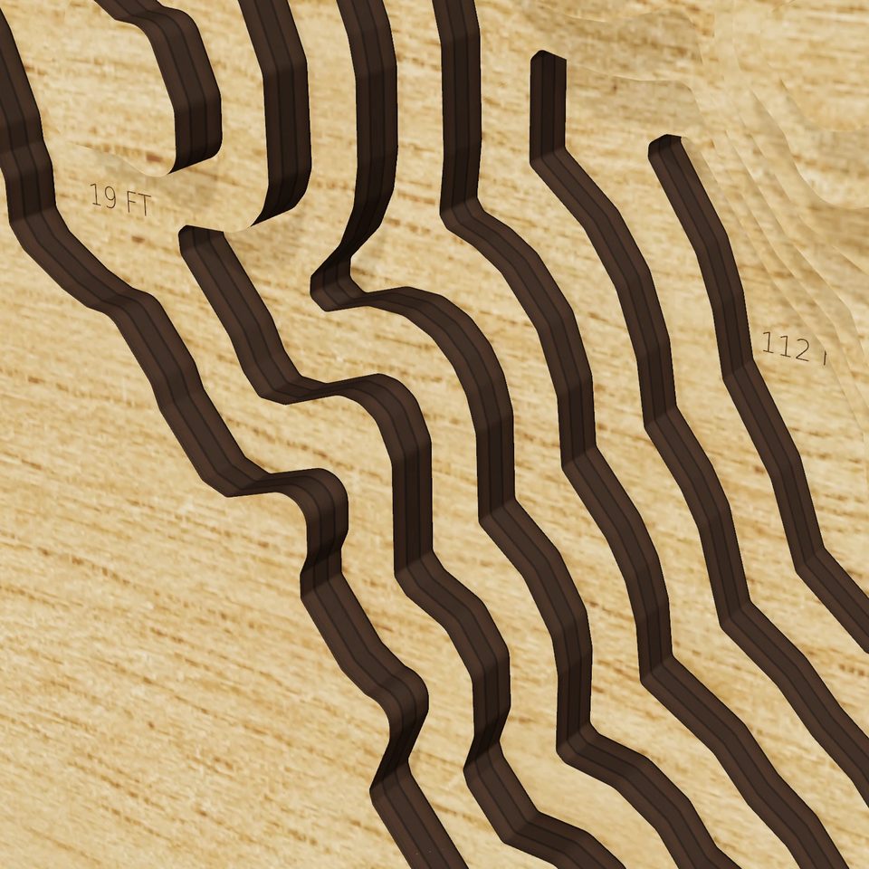 Elevenmile Canyon Reservoir 3D wood map, detail view