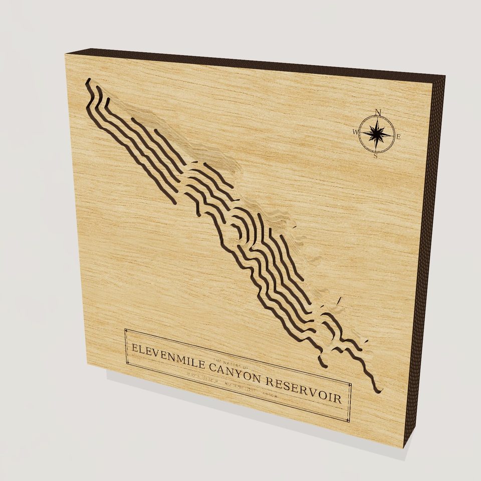 Elevenmile Canyon Reservoir 3D wood map, hero view