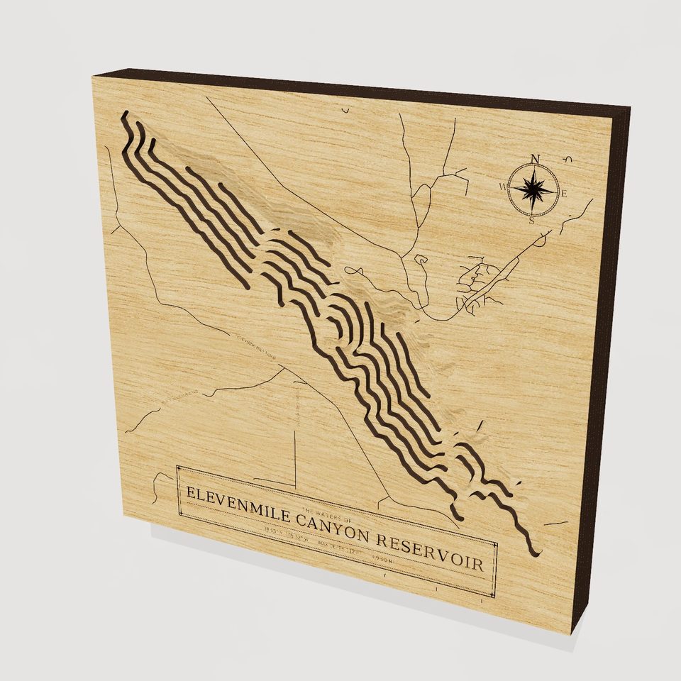 Elevenmile Canyon Reservoir 3D wood map, hero view