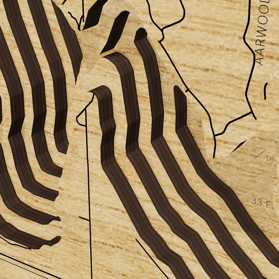 Elk Lake 3D wood map, detail view