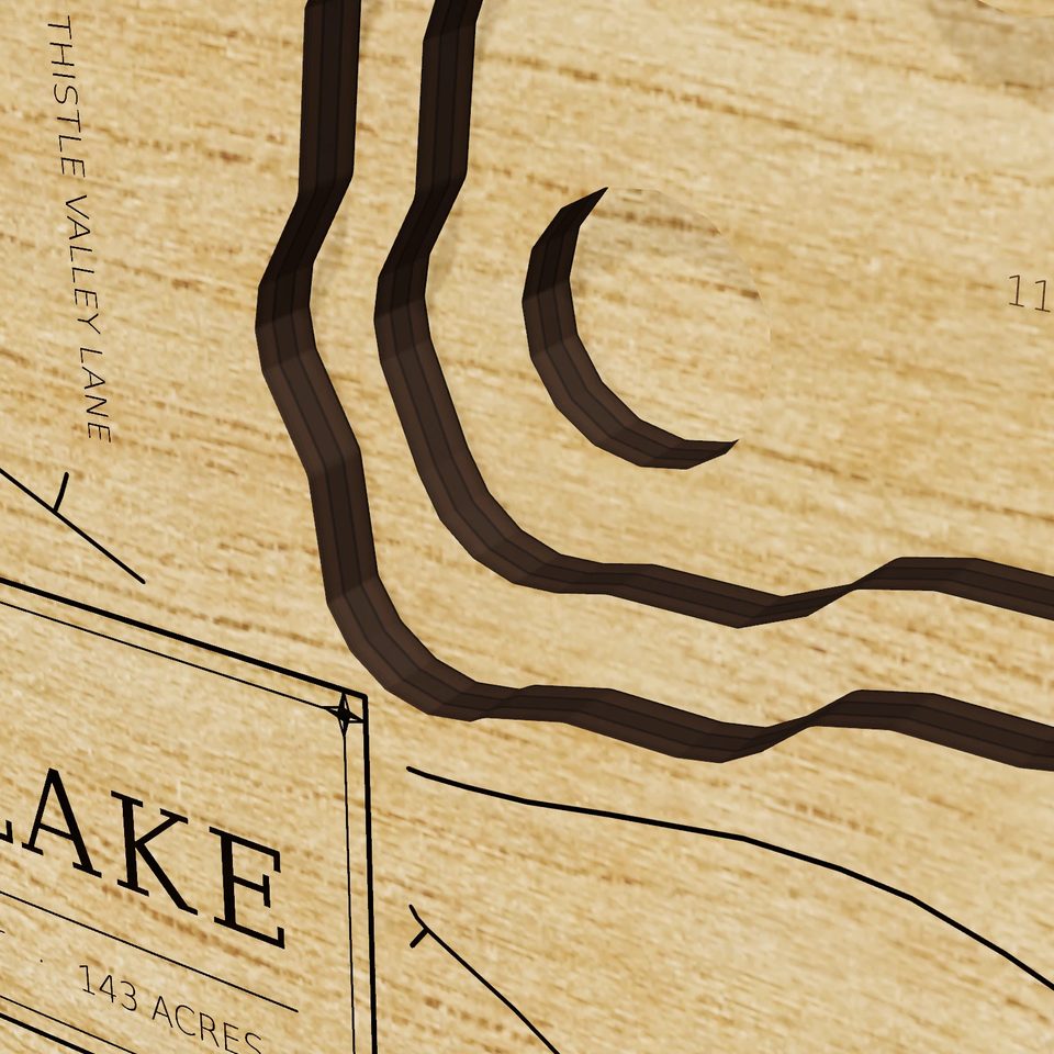 Elkhorn Lake 3D wood map, detail view
