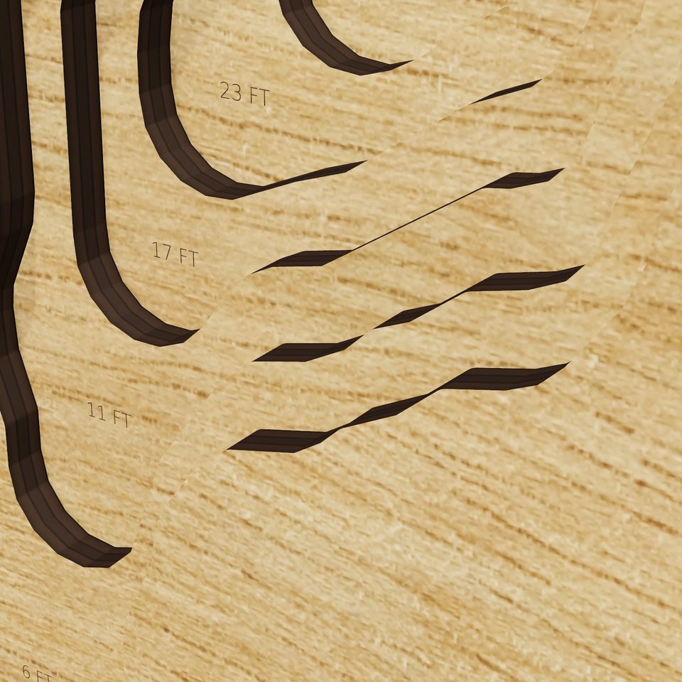 Ellis Pond 3D wood map, detail view