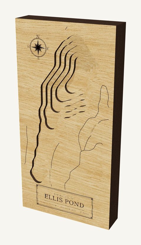 Ellis Pond wood map
