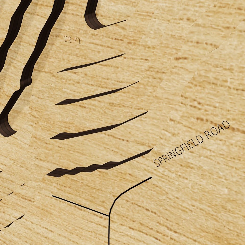 Evans Lake 3D wood map, detail view