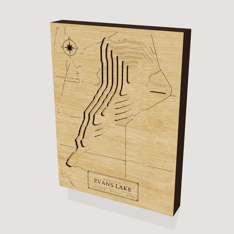 Evans Lake 3D wood map, hero view