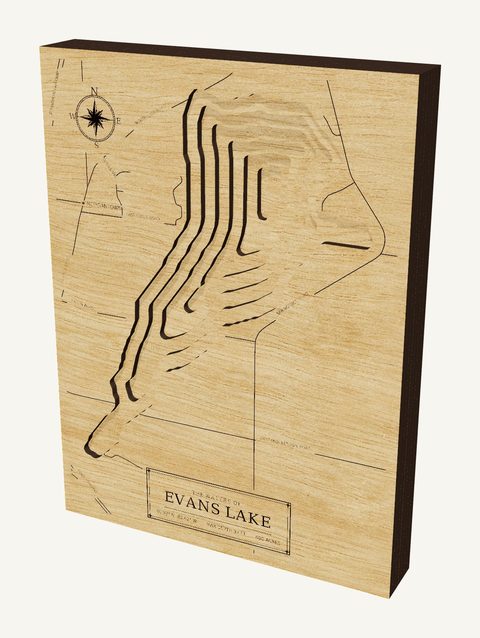 Evans Lake wood map