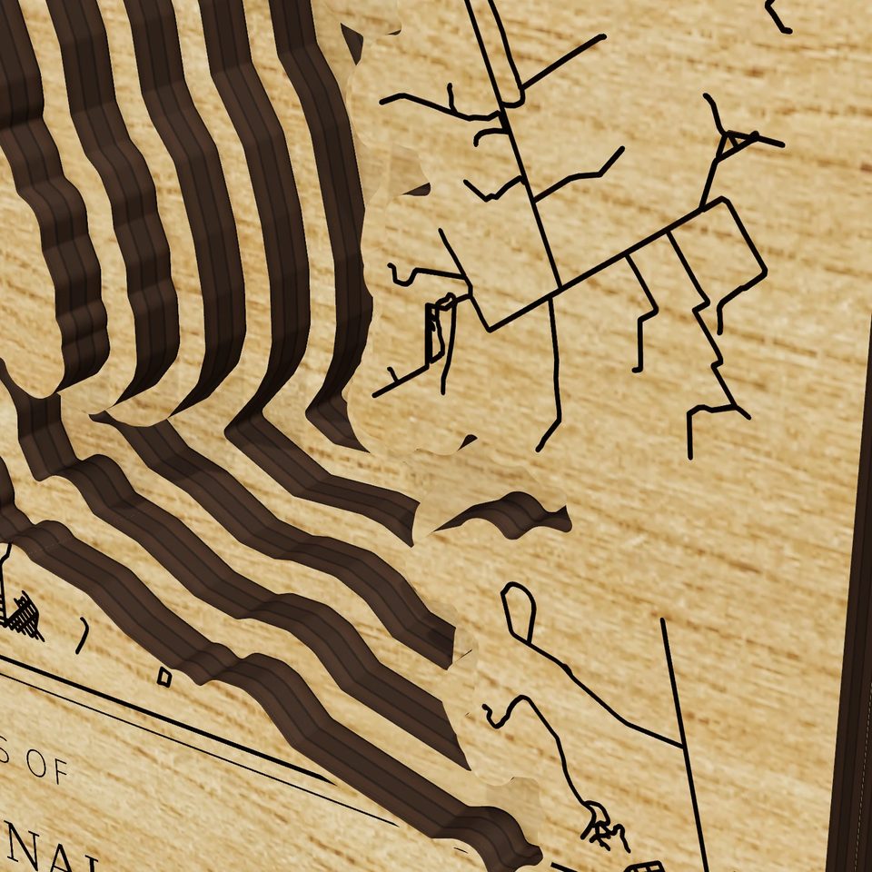 Falcon International Reservoir 3D wood map, detail view