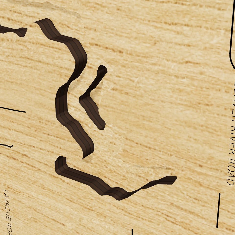 Fish Lake Reservoir 3D wood map, detail view