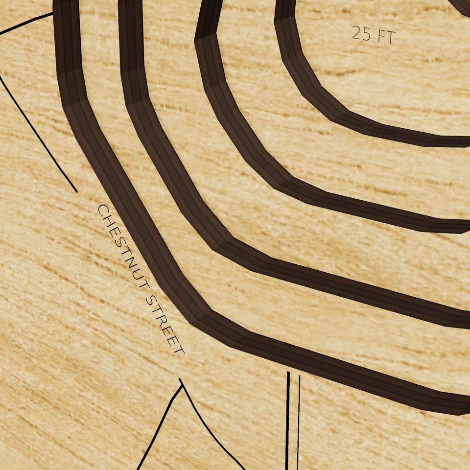 Flax Pond 3D wood map, detail view